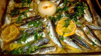 Как да готвя риба сардина? Най-лесната рецепта за сардина