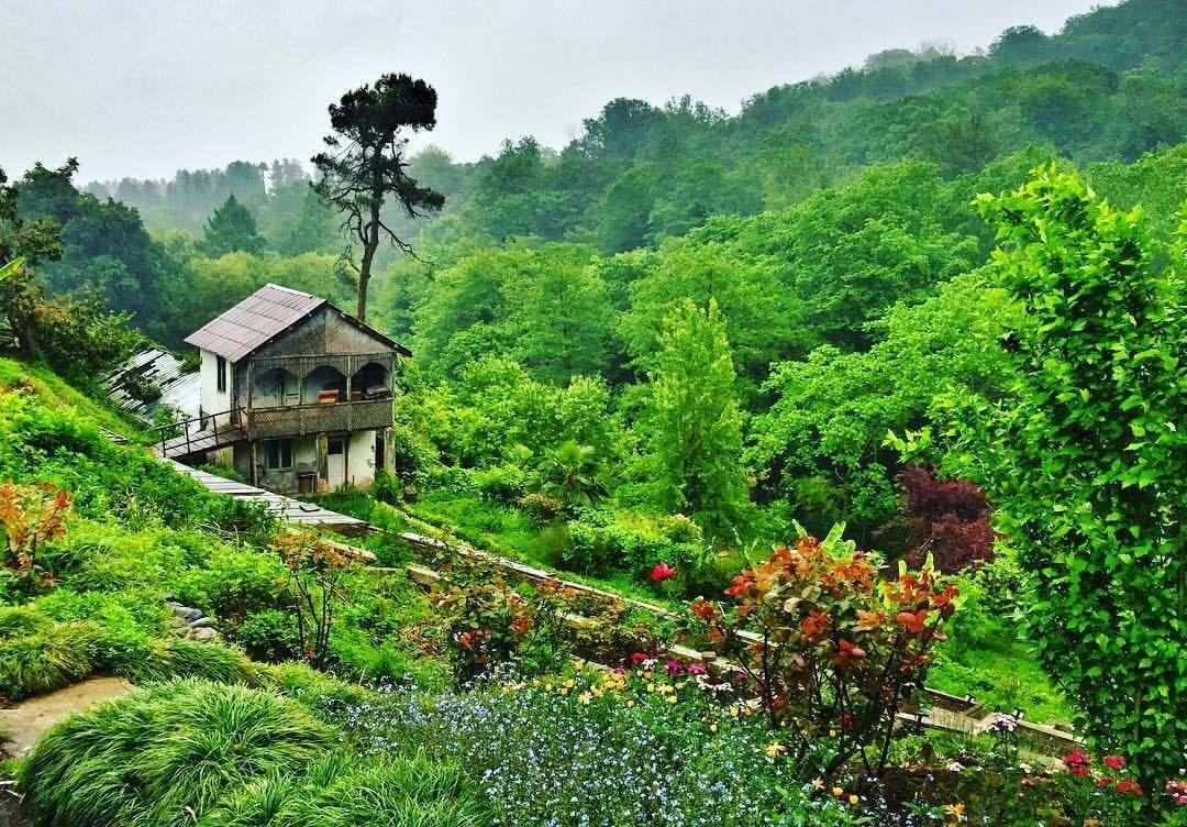 Батумска ботаническа градина