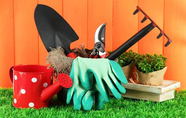 как да почистите градината