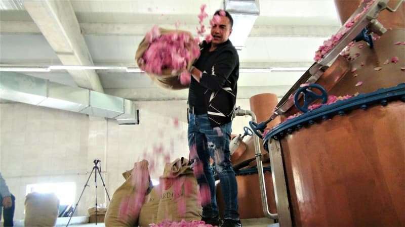 Бердан Мардини учреди завод за розово масло в родния си град!