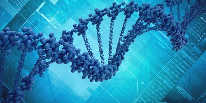 Материалите за грим развалят вашата ДНК!