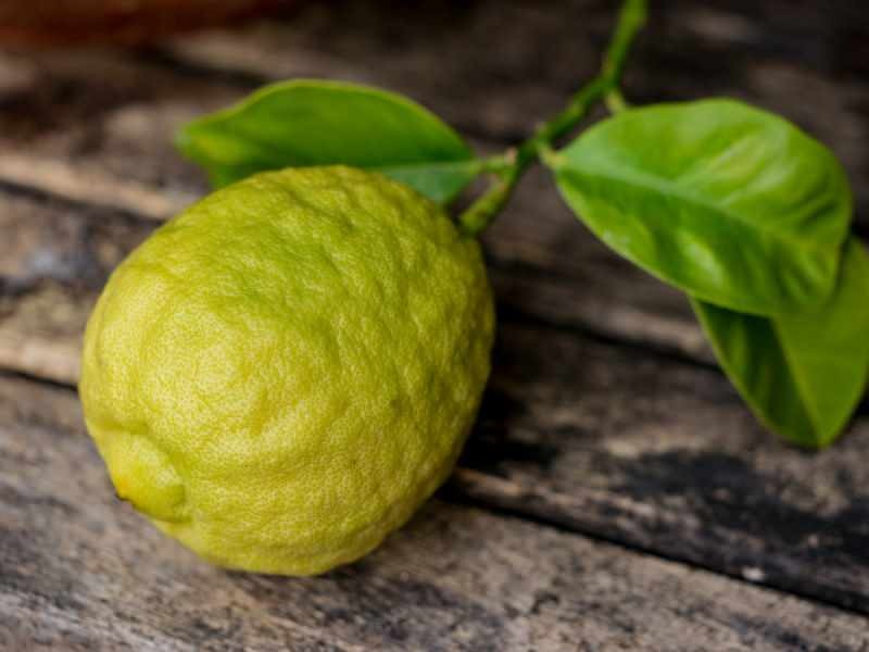 Появата на бергамот е подобна на лимона