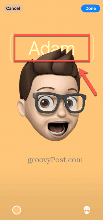 име на memoji плакат на ios контакт