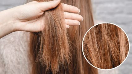 Какво да правим с косата, която изгаря от ория? Как трябва да се грижи за третираната коса?