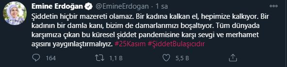Емин Ердоган споделя насилие