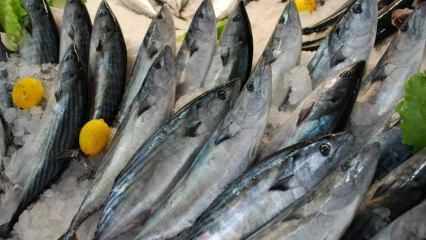 Какви са предимствата на рибата бонито и за какво е полезна? Коя риба трябва да се консумира как?