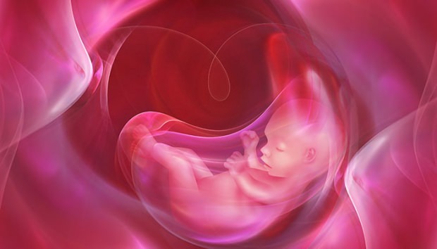 Какво е Placenta Previa? Как да се грижим за пъпната връв при бебета? Ако пъпната връв е дълга ...