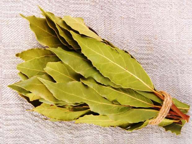 дафинов лист най-често се използва в козметиката