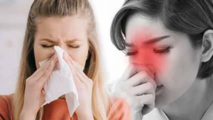 Какво представлява алергичният ринит? Какви са симптомите на алергичния ринит? Има ли лечение за алергичен ринит?