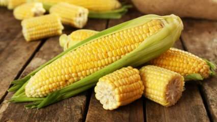 Какви са вредите от царевицата?