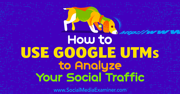 Как да използвам Google UTM за анализ на вашия социален трафик от Tammy Cannon в Social Media Examiner.