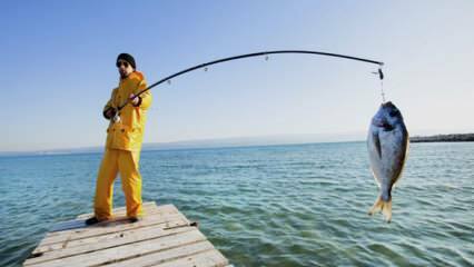 Как да ловя? Какви са триковете за риболов с въдица?