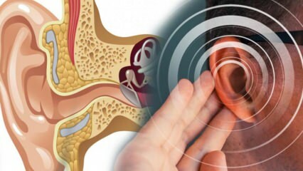 Болест на ухото: Какво причинява болестта? Какви са симптомите на Meniere? Има ли лек?