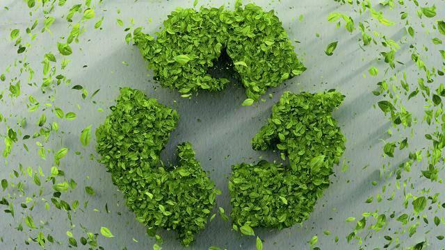 Какви са ползите от използването на Zero Waste