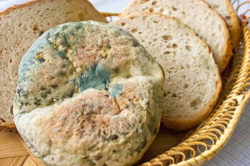 Начини за предотвратяване на остаряването и плесеня на хляба
