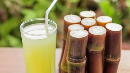 Какви са ползите от захарната тръстика? Какво прави сокът от захарна тръстика?