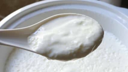 Какъв е лесният начин за варене на кисело мляко? Направете кисело мляко като камък у дома! Ползата от домашното кисело мляко