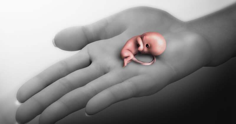 Какво е спонтанен аборт? Симптоми на спонтанен аборт по време на бременност