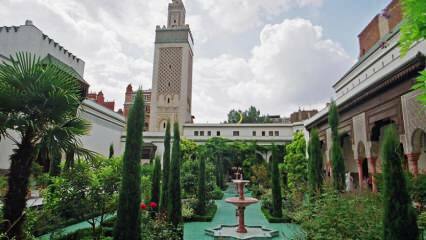 Джамии и ислямски паметници на Европа: забележителности за консервативни семейства