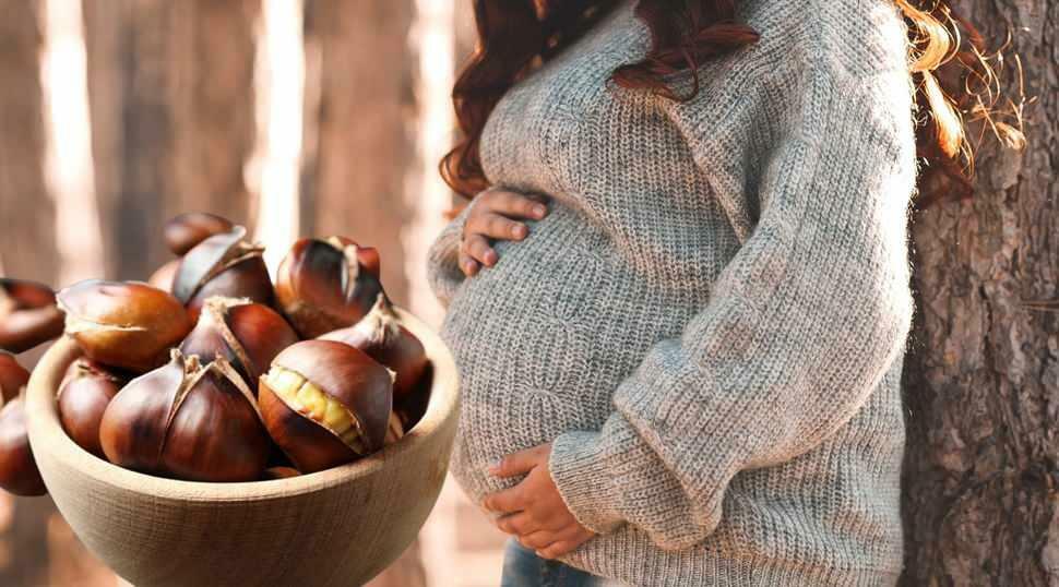  Могат ли бременните жени да ядат кестени?