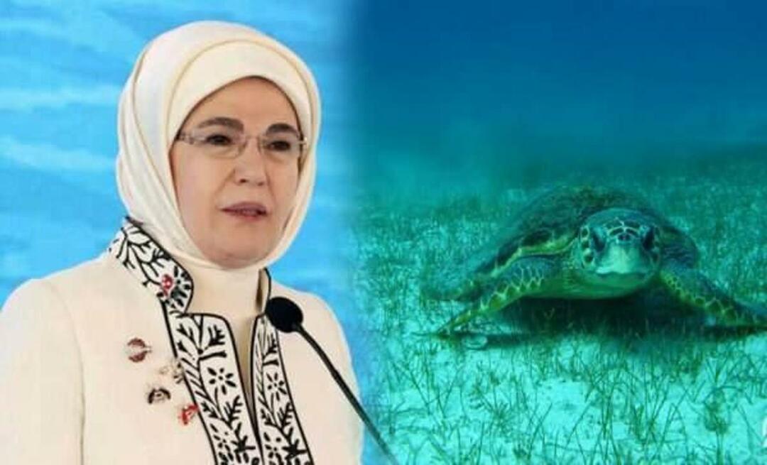 Споделяне на „морска костенурка“ от Емине Ердоган: „Докато ги защитаваме, те ще продължат да живеят“