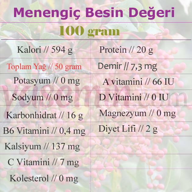 хранителна стойност на menengiç 