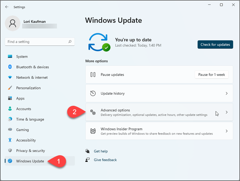 Отидете на Windows Update> Разширени опции в Настройки на Windows 11