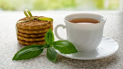Какви са предимствата на босилека? Къде се използва босилек? Как да си направим чай от босилек?