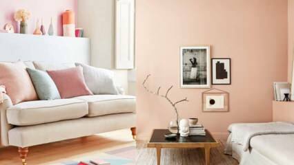 Предложения за декорация на дома, които могат да бъдат направени с цвят на сьомга