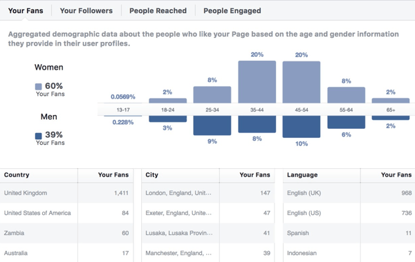 Facebook Insights демографски данни за аудиторията.