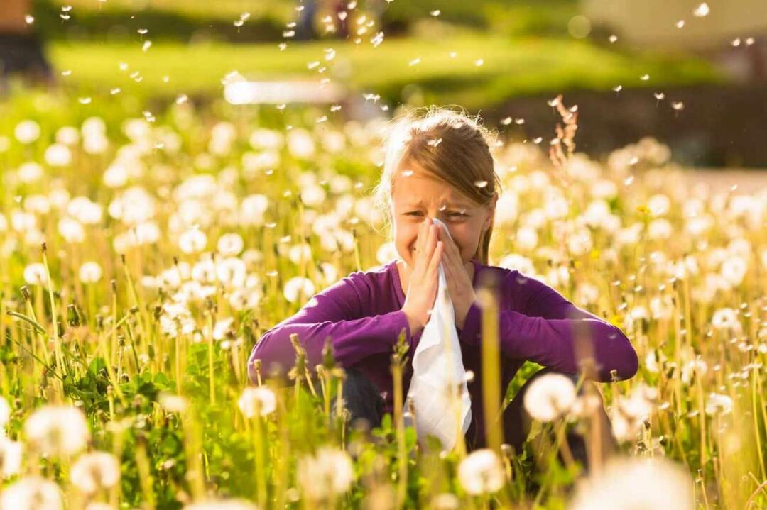 Какво да вземем предвид, за да предпазим децата от сезонни алергии