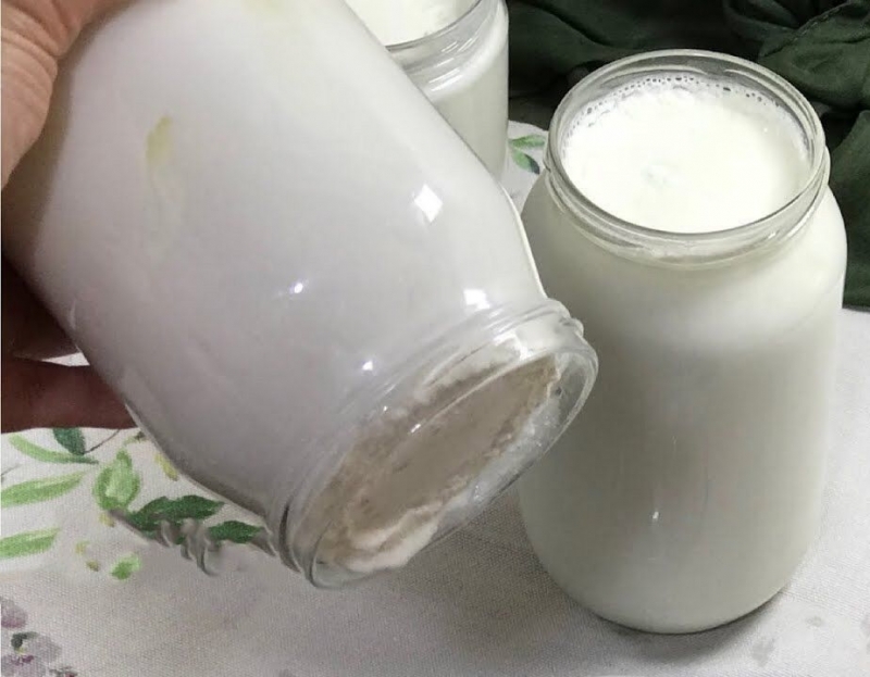 Какъв е лесният начин за варене на кисело мляко? Как да си приготвим практическо кисело мляко у дома? Кисело мляко като костилка в буркан