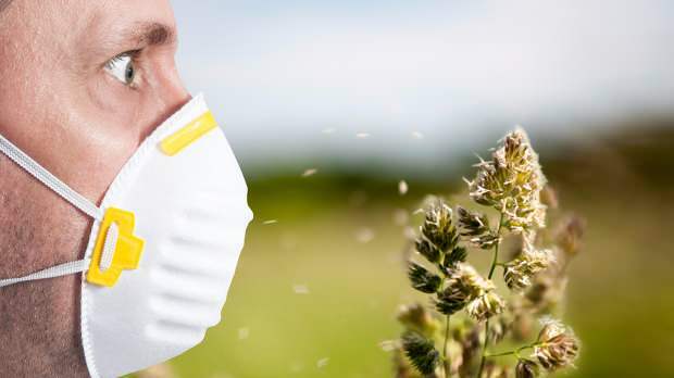 пролетната алергия се причинява от цветен прашец, домашни любимци, повишена температура и прах