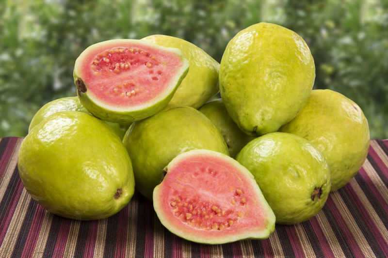 Какво е плод гуава? Как да ядем плодове гуава и какви са ползите от него?