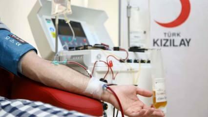 Къде и как да дарите кръв? Какви са условията за кръводаряване
