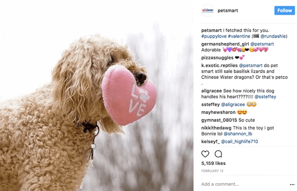 Когато PetSmart споделя повторно потребителски снимки в Instagram, те дават авторитет на оригиналния плакат в надписа.