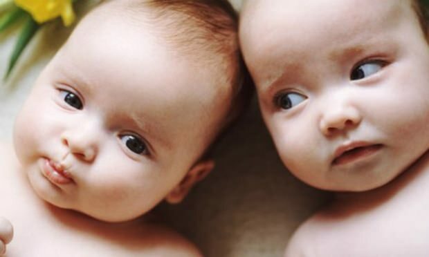 Ако в семейството има близнаци, ще се увеличат ли шансовете за бременност близнаци? Поколение коне?