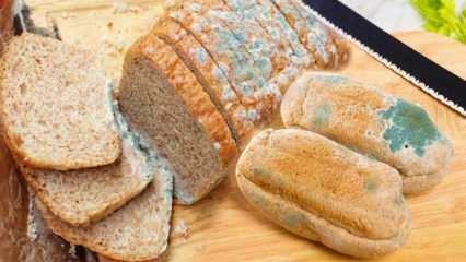 Как да предотвратим плесенясването на хляба през Рамадан? Начини за предпазване на хляба от застояло и мухлясало