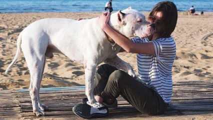 Младата актриса Алина Боз се сбогува с мъртвото си куче! Коя е Алина Боз?