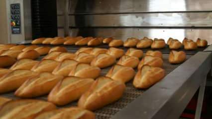 Експертите предупреждават: Сложете хлябовете във фурната на 90 градуса за 10 минути