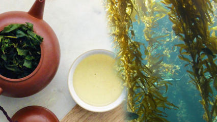Какви са предимствата на мъха? Как да си направим чай от морски водорасли и за какво е добър?