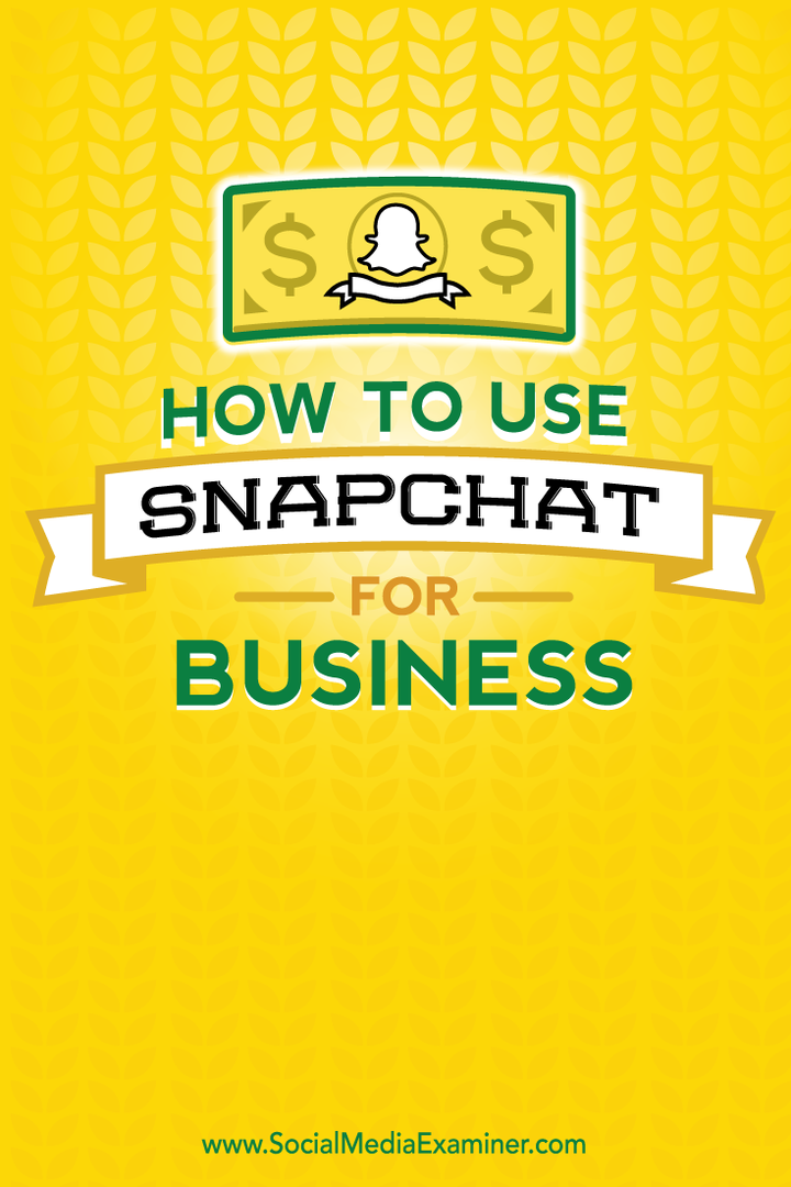 Как да използвам Snapchat за бизнес: Проверка на социалните медии
