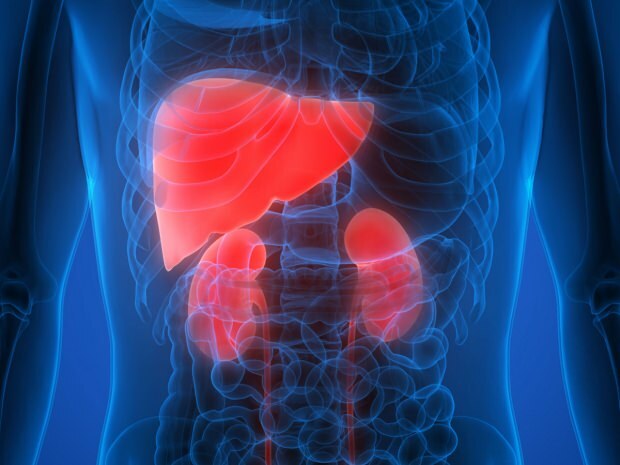 Какви са симптомите на рак на черния дроб? Има ли лечение на рак на черния дроб?