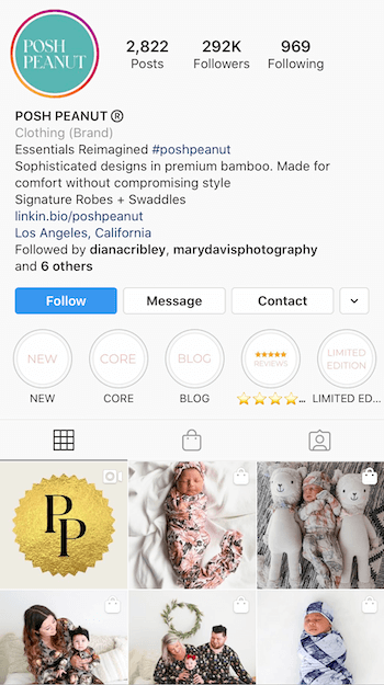 пример за биография на Instagram, оптимизирана за бизнес