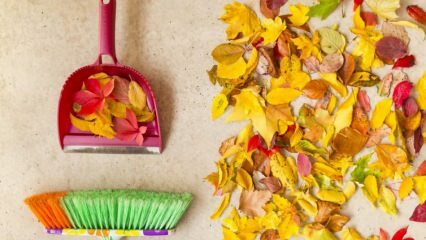 Практически методи за есенно почистване