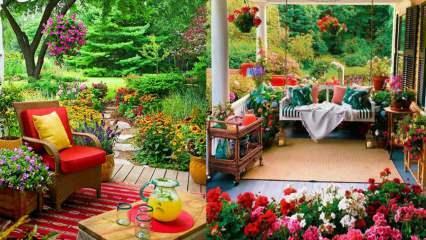 Цветя, които можете да използвате във вашата градина и балкони през есента!