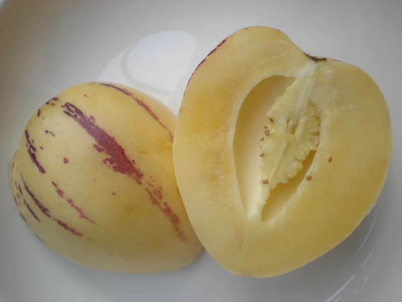 плодът пепино се нарязва като пъпеш като изображение