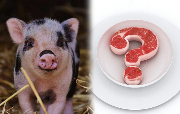 Забранено ли е яденето на свинско месо?