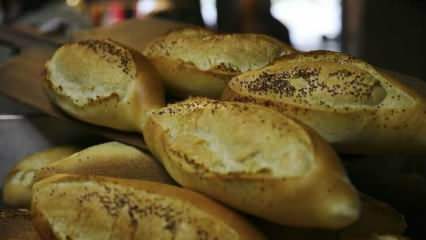 Как се оценява застоял хляб? Рецепти, приготвени със застоял хляб