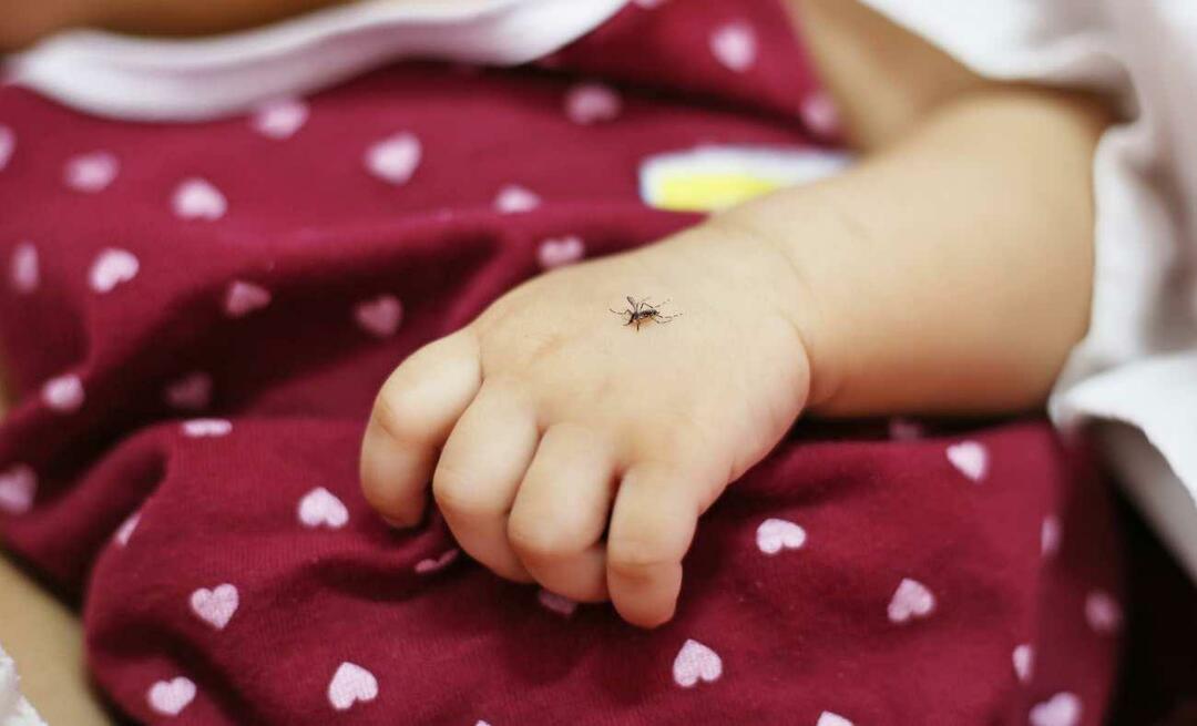 Прилага ли се репелент против комари при бебета? Най-добрите репеленти против мухи за 2023 бебета